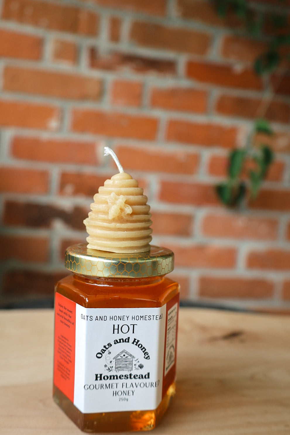 Bee Hive & Honey Gift Set