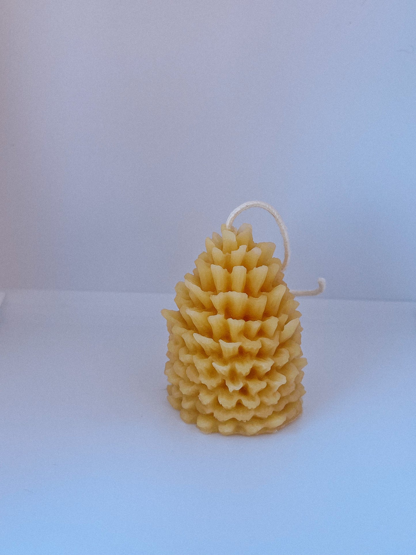 Rustic Pine Cone Candle