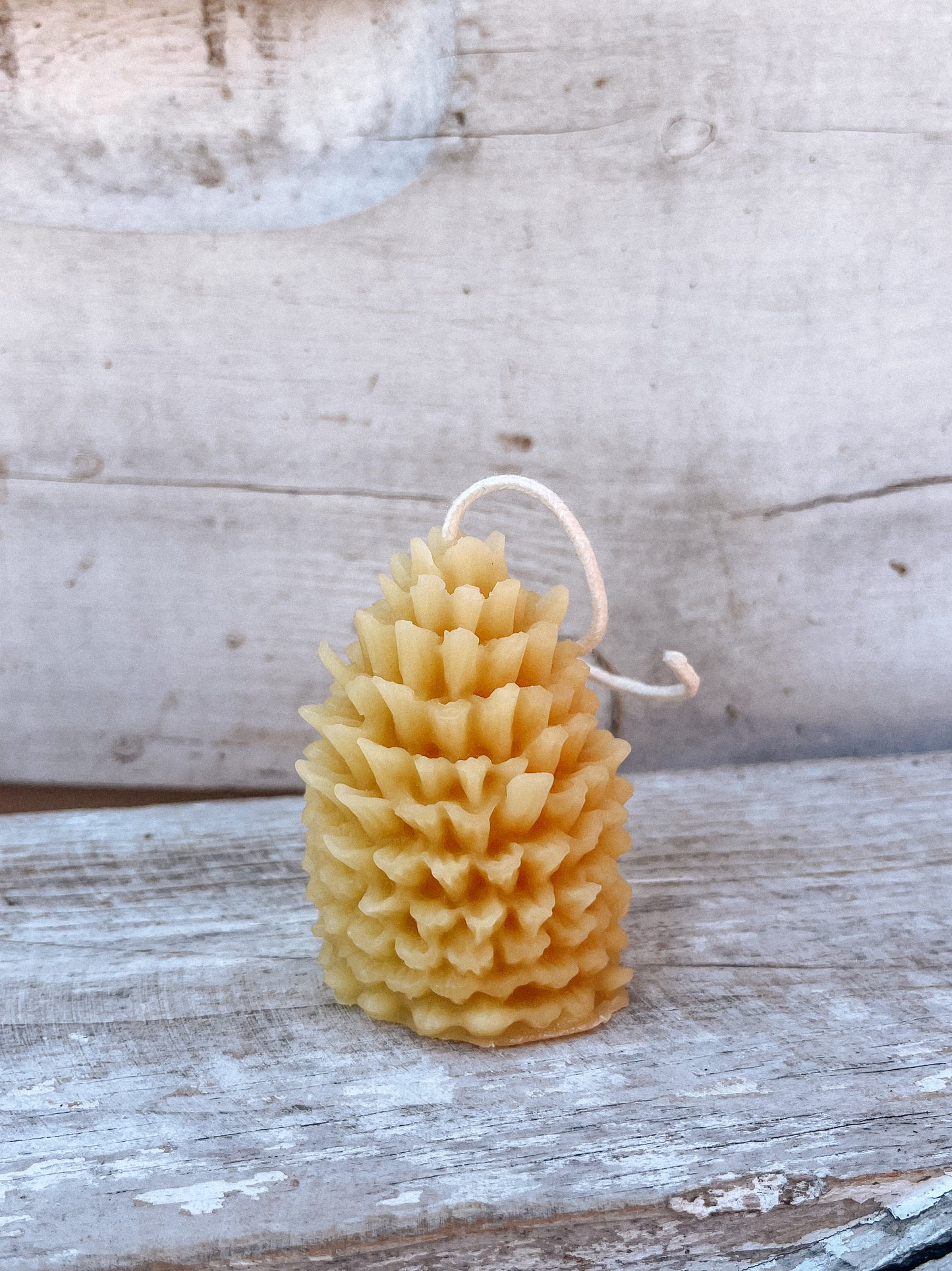 Rustic Pine Cone Candle