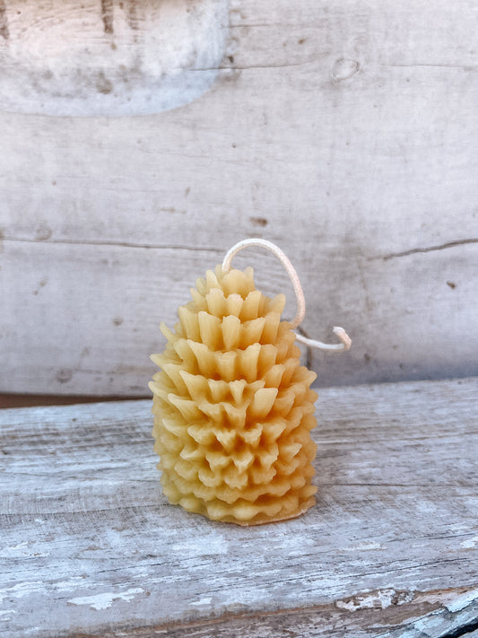 Rustic Pine Cone Candle