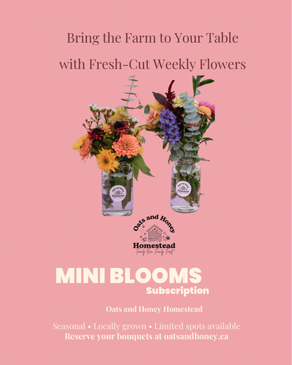 Mini Blooms Subscription